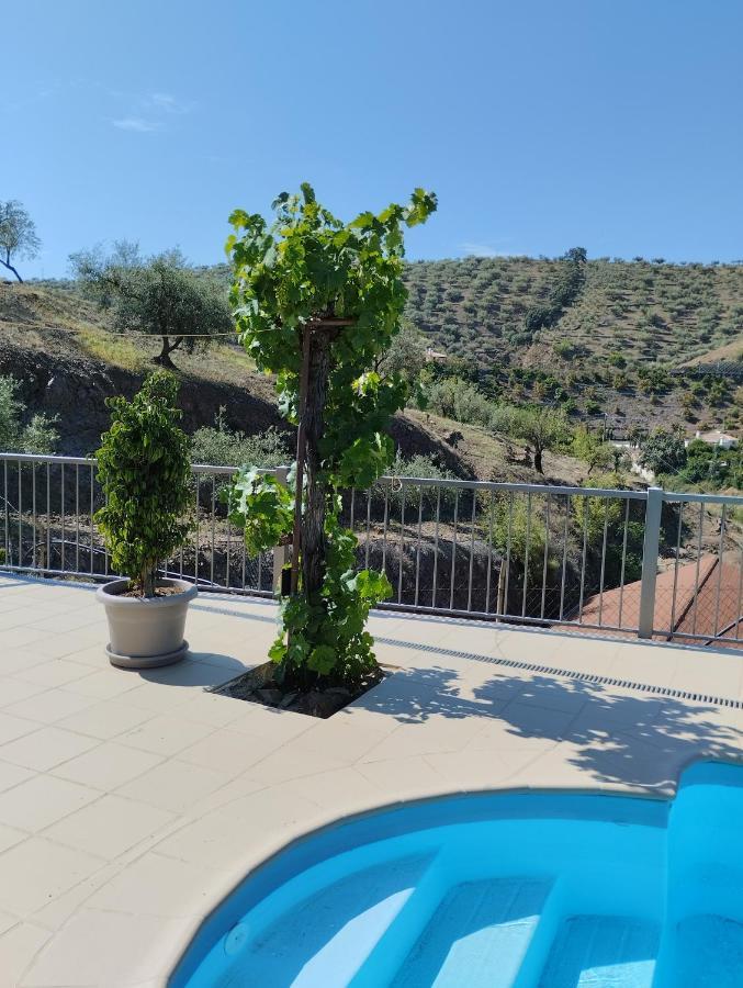 Villa Las Vinas Málaga Eksteriør billede